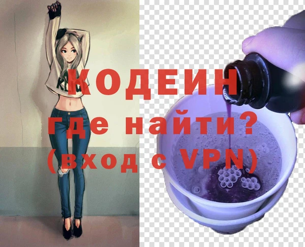 шишки Богородицк