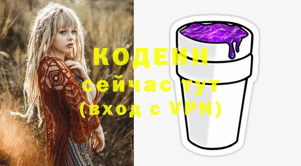 шишки Богородицк